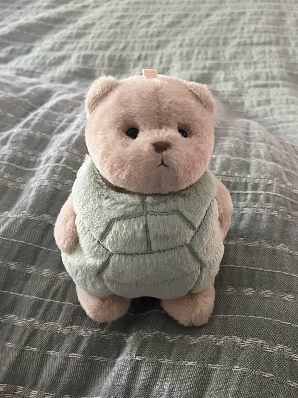 Get a Hug Turtle Mini Bear Bag Charm